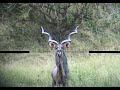HEADSHOT HUNTING COMPILATION WITH TRIGGERCAM 2 1 10 MINUTES 38 HEADSHOTS