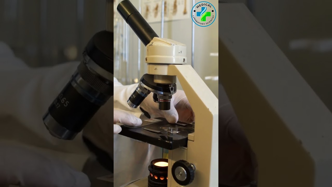 Adjust Microscope | how to fix and focus Slide | how to use microscope |Focusing Slide on Microscope