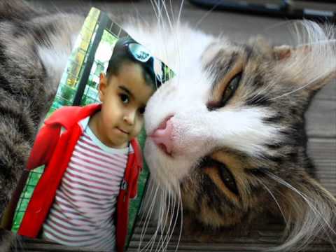 hamza khan birthday.wmv