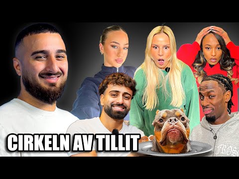 CIRKELN AV TILLIT ALLSTAR EDITION
