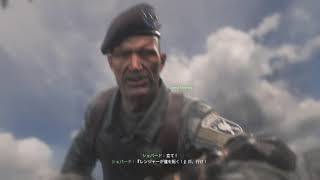 COD MW2 Remastered リアルGUN GAME The Real Gun Gameトロフィー trophy