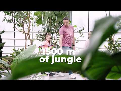 Exotic adventure awaits you. TROPSKI VRT - TRÓPUSI KERT Ocean Orchids, Slovenia