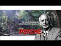 the PSYCHE in us - J.Hillman (Jungian Analyst)