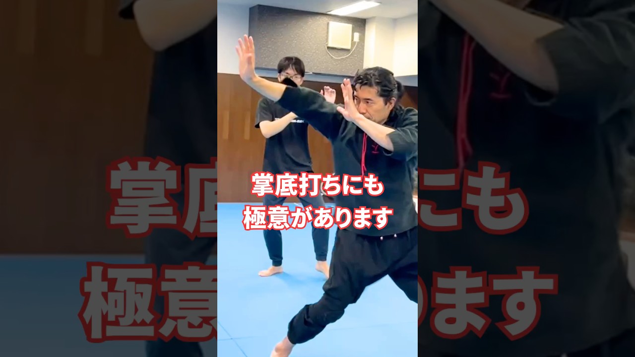 掌底打ち一つにも極意があります　#剣護身術 #護身術 #格闘技 #武術 #掌底打ち