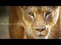 rotary connection ft minnie riperton - respect