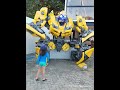 José Fernando E O Bumblebee