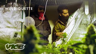 A Tale of Two Dealers: Amsterdam (WEEDIQUETTE - Half Baked Clip)