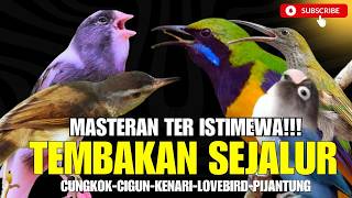 Download lagu MASTERAN TEMBAKAN KASARAN TERBAIK !! KASARAN & JERITAN - CUNGKOK PIJANTUNG SAMPIT BESETAN mp3