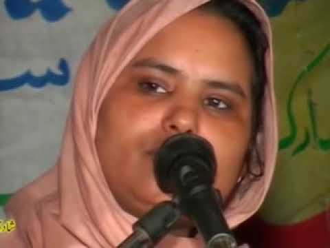 five star dvd dinga kharian gujrat punjabi desi songs bali jatti shah quli dinga sassi ponu p13