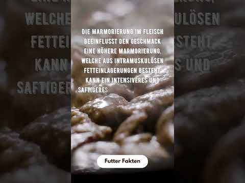 Nimm einen Happen Wissen mit jedem Bissen! 🍔🧠