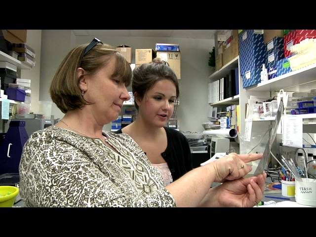 Louisiana State University Health Sciences Center Shreveport video #1