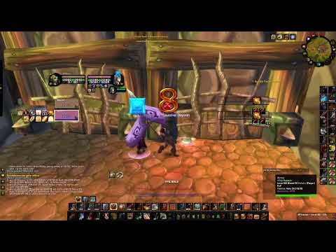 Arms Warrior/ Holy Paladin 2v2 Wotlk Arena