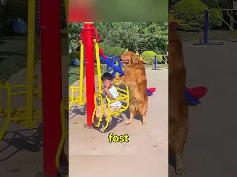 Cel mai Bun Bodyguard 🐶🛡️❤️
