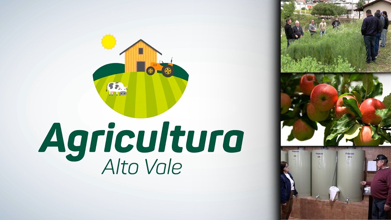 Agricultura Alto Vale – Ed. 26/09/2026