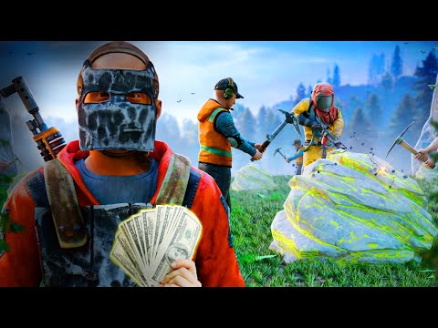 I Hired 50 Rust Sulfur Farmers