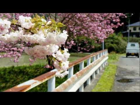 LEMS - Sakura Waltz (サクラワルツ) (Thaory Japan Demic Remix feat. Kohei)