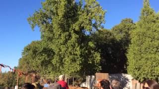 preview picture of video 'High Hill Ranch Apple Hill & Placerville Hay Ride Northern CA 10-4-14'