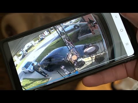 A Hamilton family says a pizza delivery man was caught on camera stealing their cat