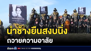 นำช้างยืนสงบนิ่ง ถวายความอาลัย l ตลาดข่าว - ข่าวเช้าเวิร์คพอยท์ l 27 ต.ค.68