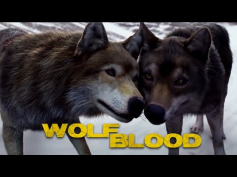 Wolfblood - Maddy Returns (Season 3)
