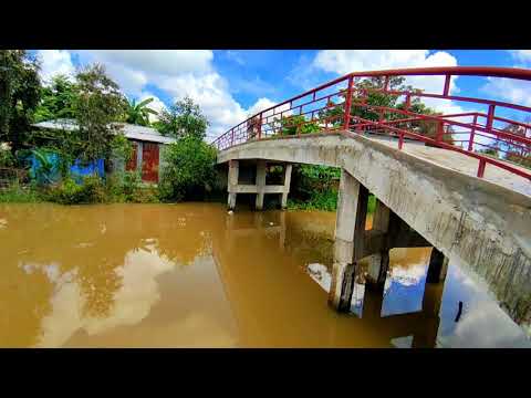 Cần bán 1184m2 nhà đất full thổ cư thị trấn Thạnh Hóa tỉnh Long An