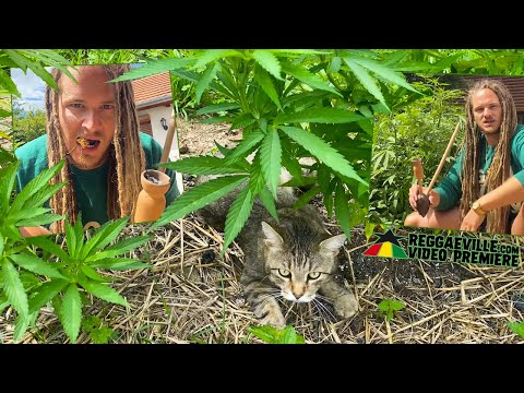 Deliman - Till The Soil [Official Video 2021]