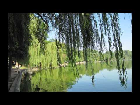 Về nhà - Thanh Phương