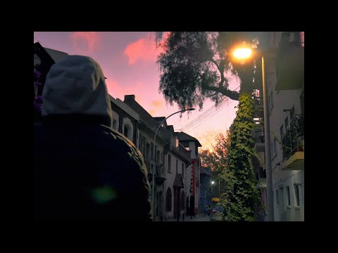 FLXRES - DOSIS (VISUALIZER)