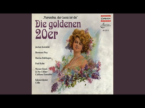 Im Cafe de la Paix in Paris