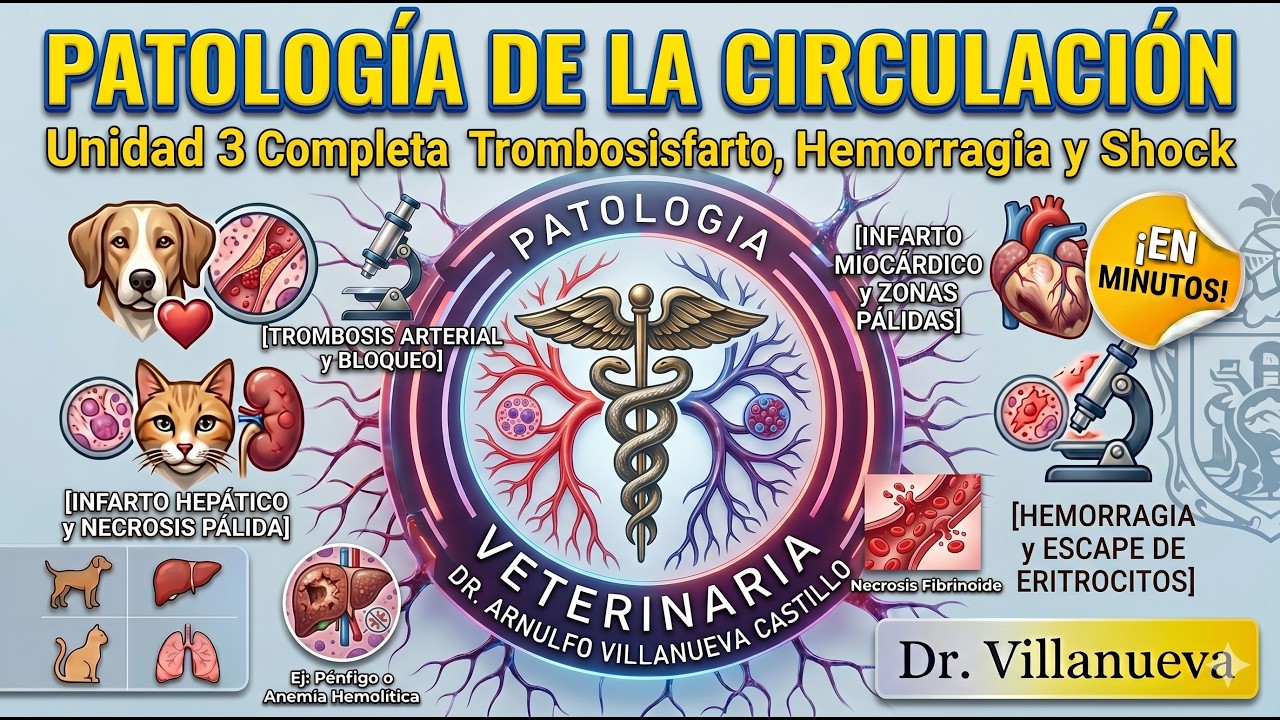 Patología de la Circulación en Veterinaria: Guía Técnica Completa (Unidad 3) 🐾🔬
