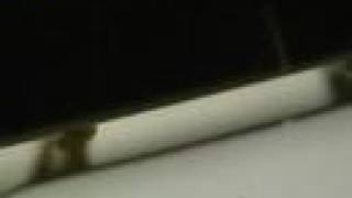 Sick Vid(all nollie or switch)