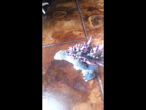 Godzilla vs king ceasar