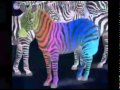 Poor Baby - The Cowsills