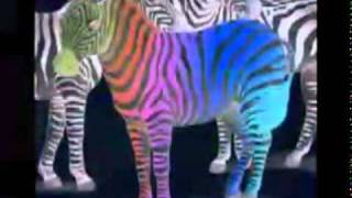 Poor Baby - The Cowsills