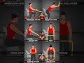 Only Resistance Band Back Exercises Target Lats Traps Rear Delts Animation Fitness Tips