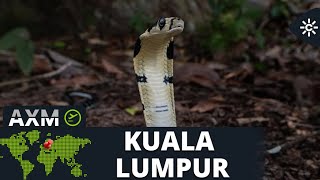 Thumbnail del capítulo