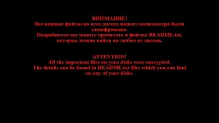 Trojan-Ransom.Shade/Encoder 858: Самый страшный вирус в наши дни. Потеря ценных данных в *.xtbl