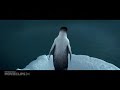 Happ Feet Movie CLIP Leopard Seal Chase 2019 HD