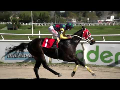 210917 c04 - LITTLE CLOWN - HIPODROMO LAS PIEDRAS