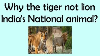 IAS Interview Questions || Why the tiger, not lion India&#39;s National animal? || General Knowledge