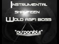 Shayfeen Wold Asfi Boss "Instrumental" 