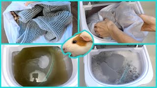 New guinea pig cage cleaning routine 🧽 portable washing machine 🧼 fleece bedding