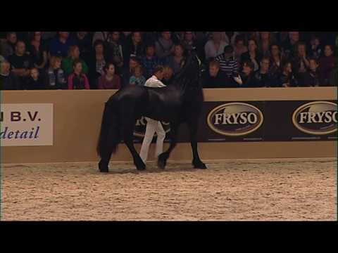 KFPS Hengstenkeuring 2016 Kampioenschap jonge hengsten