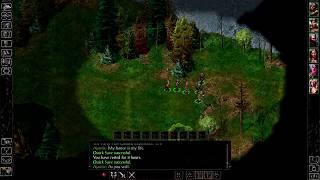 In Large Packs - Let's Play Baldur's Gate Part 42