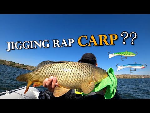 What? Do Carp Eat Jigging Raps? First Time Boat Fishing on Pasqua Lake