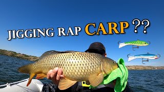 What? Do Carp Eat Jigging Raps? First Time Boat Fishing on Pasqua Lake
