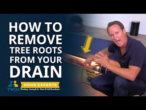 How To Remove Tree Roots From a Drain Line
