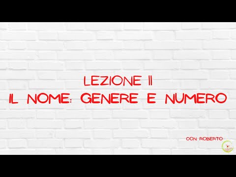 11/ Genere e numero del nome (multi subs) - The noun and its features: guidelines