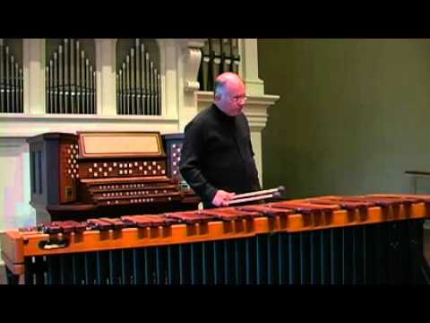 Vic Firth M113 Robert Van Sice Keyboard Med. Soft