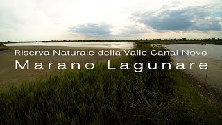 preview picture of video 'Marano Lagunare: Riserva Naturale della Valle Canal Novo'